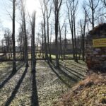 Fałków. Ruiny zamku z początku XVII wieku. Ze względu na niewielkie rozmiary historycy sztuki uznają kamienno-ceglany budynek za dwór obronny / Magdalena Galas-Klusek / Radio Kielce