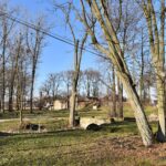 Fałków. Ruiny zamku z początku XVII wieku. Ze względu na niewielkie rozmiary historycy sztuki uznają kamienno-ceglany budynek za dwór obronny / Magdalena Galas-Klusek / Radio Kielce