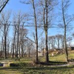 Fałków. Ruiny zamku z początku XVII wieku. Ze względu na niewielkie rozmiary historycy sztuki uznają kamienno-ceglany budynek za dwór obronny / Magdalena Galas-Klusek / Radio Kielce