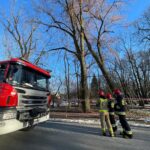 05.02.2021 Kielce. Drzewo w parku / Wiktor Taszłow / Radio Kielce