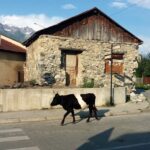 Gruzja / Agnieszka Sowińska