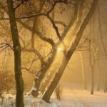 19.02.2021. Kielce. Mgła nad Kielcami / Jarosław Kubalski / Radio Kielce