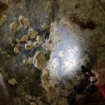 25.02.2021. Sandomierz. Kościół św. Jakuba w Sandomierzu. Piwnica romańska / Grażyna Szlęzak-Wójcik / Radio Kielce