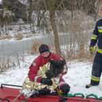 Strażacy uratowali owczarka, który wpadł to lodowatej rzeki i nie potrafił się z niej wydostać o własnych siłach / PSP Kazimierza Wielka