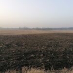 25.02.2021 Gorysławice. Tereny pod budowę osiedla domków jednorodzinnych / Marta Gajda / Radio Kielce