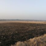 25.02.2021 Gorysławice. Tereny pod budowę osiedla domków jednorodzinnych / Marta Gajda / Radio Kielce