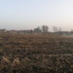 25.02.2021 Gorysławice. Tereny pod budowę osiedla domków jednorodzinnych / Marta Gajda / Radio Kielce