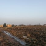 25.02.2021 Gorysławice. Tereny pod budowę osiedla domków jednorodzinnych / Marta Gajda / Radio Kielce