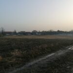 25.02.2021 Gorysławice. Tereny pod budowę osiedla domków jednorodzinnych / Marta Gajda / Radio Kielce