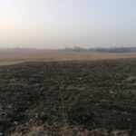 25.02.2021 Gorysławice. Tereny pod budowę osiedla domków jednorodzinnych / Marta Gajda / Radio Kielce