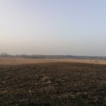 25.02.2021 Gorysławice. Tereny pod budowę osiedla domków jednorodzinnych / Marta Gajda / Radio Kielce