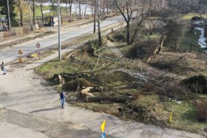 25.02.2021 Skarżysko -Kamienna. Wycinka drzew przy ulicy Piłsudskiego / Jarosław Kubalski / Radio Kielce