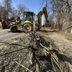 25.02.2021 Skarżysko -Kamienna. Wycinka drzew przy ulicy Piłsudskiego / Jarosław Kubalski / Radio Kielce