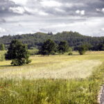 14.06.2016 Góra Miedzianka. Rezerwat przyrody. Rezerwat geologiczny. / Jarosław Kubalski / Radio Kielce