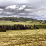 14.06.2016 Góra Miedzianka. Rezerwat przyrody. Rezerwat geologiczny. / Jarosław Kubalski / Radio Kielce