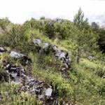 14.06.2016 Góra Miedzianka. Rezerwat przyrody. Rezerwat geologiczny. / Jarosław Kubalski / Radio Kielce