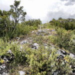 14.06.2016 Góra Miedzianka. Rezerwat przyrody. Rezerwat geologiczny. / Jarosław Kubalski / Radio Kielce