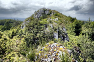 14.06.2016 Góra Miedzianka. Rezerwat przyrody. Rezerwat geologiczny. / Jarosław Kubalski / Radio Kielce