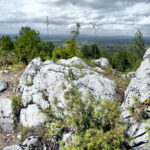 14.06.2016 Góra Miedzianka. Rezerwat przyrody. Rezerwat geologiczny. / Jarosław Kubalski / Radio Kielce