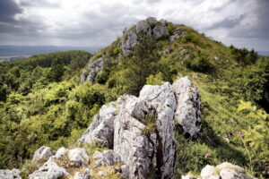 14.06.2016 Góra Miedzianka. Rezerwat przyrody. Rezerwat geologiczny. / Jarosław Kubalski / Radio Kielce