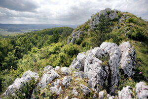 14.06.2016 Góra Miedzianka. Rezerwat przyrody. Rezerwat geologiczny. / Jarosław Kubalski / Radio Kielce