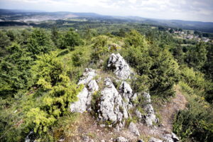 14.06.2016 Góra Miedzianka. Rezerwat przyrody. Rezerwat geologiczny. / Jarosław Kubalski / Radio Kielce