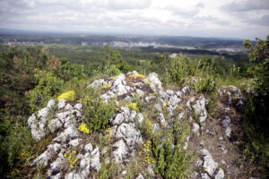 14.06.2016 Góra Miedzianka. Rezerwat przyrody. Rezerwat geologiczny. / Jarosław Kubalski / Radio Kielce