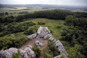 14.06.2016 Góra Miedzianka. Rezerwat przyrody. Rezerwat geologiczny. / Jarosław Kubalski / Radio Kielce