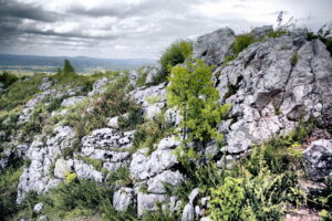 14.06.2016 Góra Miedzianka. Rezerwat przyrody. Rezerwat geologiczny. / Jarosław Kubalski / Radio Kielce