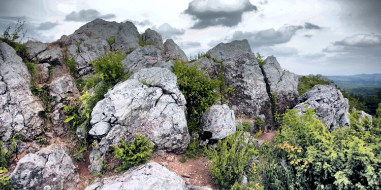 14.06.2016 Góra Miedzianka. Rezerwat przyrody. Rezerwat geologiczny. / Jarosław Kubalski / Radio Kielce