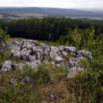 14.06.2016 Góra Miedzianka. Rezerwat przyrody. Rezerwat geologiczny. / Jarosław Kubalski / Radio Kielce