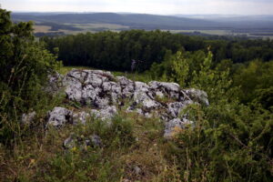 14.06.2016 Góra Miedzianka. Rezerwat przyrody. Rezerwat geologiczny. / Jarosław Kubalski / Radio Kielce