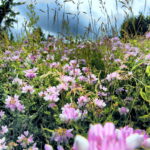 14.06.2016 Góra Miedzianka. Rezerwat przyrody. Rezerwat geologiczny. / Jarosław Kubalski / Radio Kielce