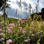 14.06.2016 Góra Miedzianka. Rezerwat przyrody. Rezerwat geologiczny. / Jarosław Kubalski / Radio Kielce