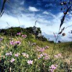 14.06.2016 Góra Miedzianka. Rezerwat przyrody. Rezerwat geologiczny. / Jarosław Kubalski / Radio Kielce