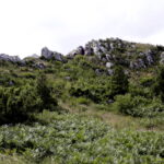 14.06.2016 Góra Miedzianka. Rezerwat przyrody. Rezerwat geologiczny. / Jarosław Kubalski / Radio Kielce