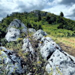 14.06.2016 Góra Miedzianka. Rezerwat przyrody. Rezerwat geologiczny. / Jarosław Kubalski / Radio Kielce