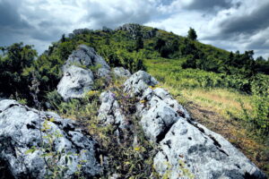 14.06.2016 Góra Miedzianka. Rezerwat przyrody. Rezerwat geologiczny. / Jarosław Kubalski / Radio Kielce