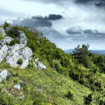 14.06.2016 Góra Miedzianka. Rezerwat przyrody. Rezerwat geologiczny. / Jarosław Kubalski / Radio Kielce