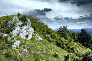 14.06.2016 Góra Miedzianka. Rezerwat przyrody. Rezerwat geologiczny. / Jarosław Kubalski / Radio Kielce