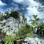 14.06.2016 Góra Miedzianka. Rezerwat przyrody. Rezerwat geologiczny. / Jarosław Kubalski / Radio Kielce