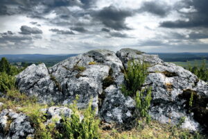 14.06.2016 Góra Miedzianka. Rezerwat przyrody. Rezerwat geologiczny. / Jarosław Kubalski / Radio Kielce