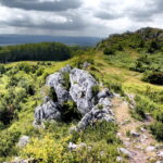 14.06.2016 Góra Miedzianka. Rezerwat przyrody. Rezerwat geologiczny. / Jarosław Kubalski / Radio Kielce