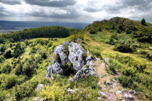 14.06.2016 Góra Miedzianka. Rezerwat przyrody. Rezerwat geologiczny. / Jarosław Kubalski / Radio Kielce