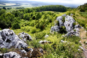 14.06.2016 Góra Miedzianka. Rezerwat przyrody. Rezerwat geologiczny. / Jarosław Kubalski / Radio Kielce