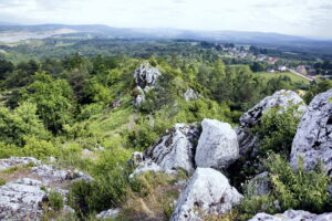 14.06.2016 Góra Miedzianka. Rezerwat przyrody. Rezerwat geologiczny. / Jarosław Kubalski / Radio Kielce