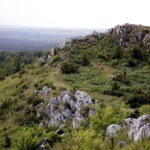 14.06.2016 Góra Miedzianka. Rezerwat przyrody. Rezerwat geologiczny. / Jarosław Kubalski / Radio Kielce