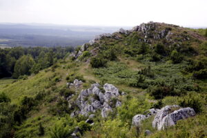 14.06.2016 Góra Miedzianka. Rezerwat przyrody. Rezerwat geologiczny. / Jarosław Kubalski / Radio Kielce