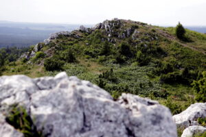 14.06.2016 Góra Miedzianka. Rezerwat przyrody. Rezerwat geologiczny. / Jarosław Kubalski / Radio Kielce