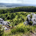 14.06.2016 Góra Miedzianka. Rezerwat przyrody. Rezerwat geologiczny. / Jarosław Kubalski / Radio Kielce